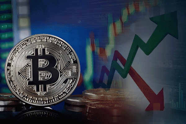 宇树科技启动科创板申购，机器人赛道迎资本检验
